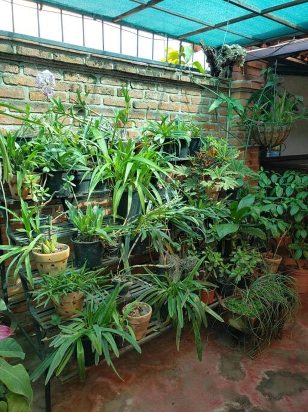 Enjoy Ac In Our Guest Room At Inn Ajijic Exterior foto